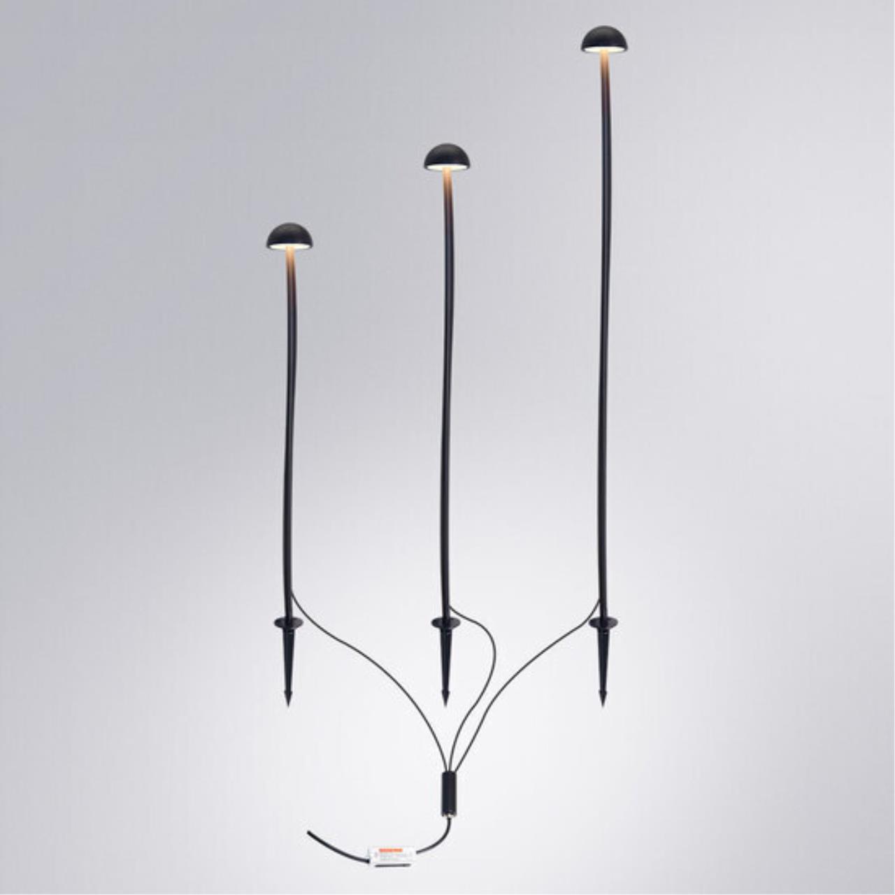 картинка Грунтовый светильник Arte Lamp MOTUS A1081PA-3BK магазин pro-decor.kz являющийся официальным дистрибьютором в Казахстане картинка Грунтовый светильник Arte Lamp MOTUS A1081PA-3BK от магазина pro-decor.kz