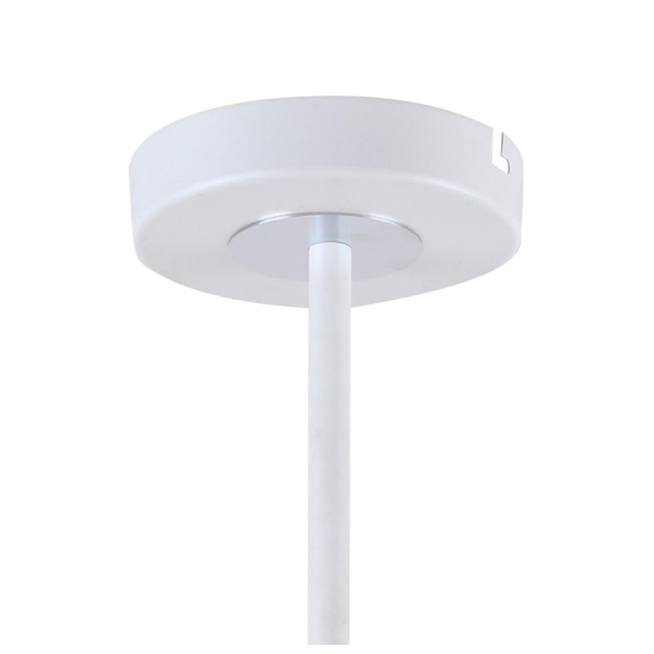 картинка Потолочная люстра F-Promo Viator 2559-8P от магазина pro-decor.kz