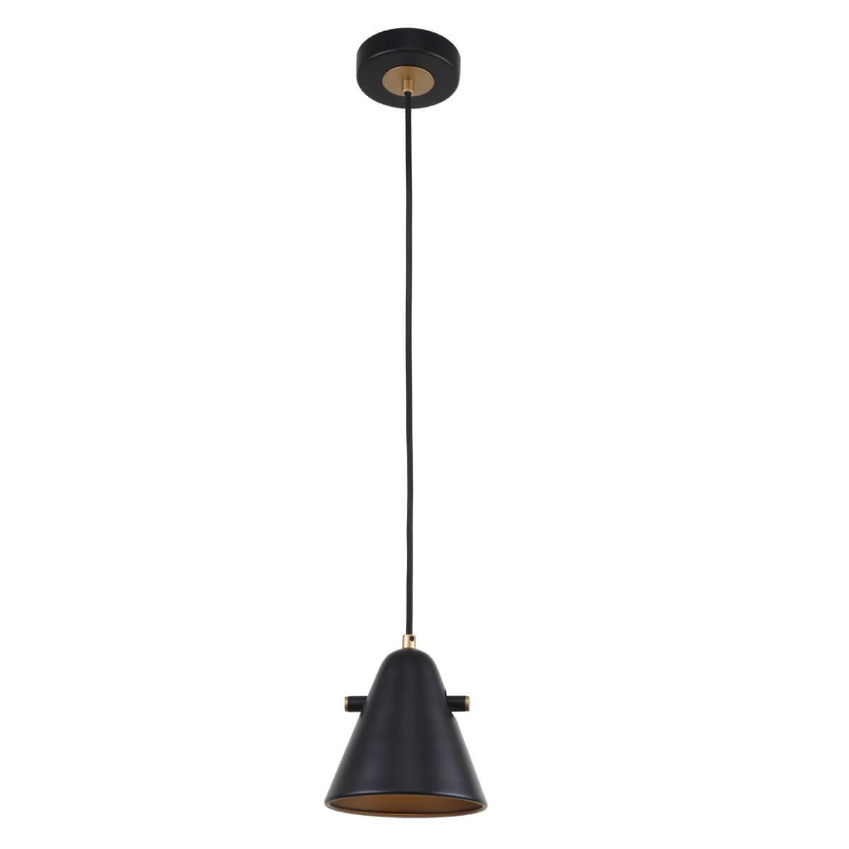 картинка Подвесной светильник F-Promo Rigor 2844-1P от магазина pro-decor.kz