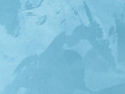 OTTOCENTO ANTICO VELLUTO AN832 OIKOS, Декоративная краска OTTOCENTO ANTICO VELLUTO AN832 OIKOS, Декоративная краска