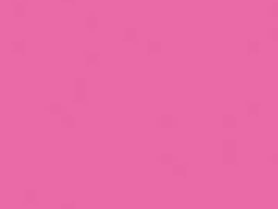 BIAMAX N1638 OIKOS, Декоративная краска