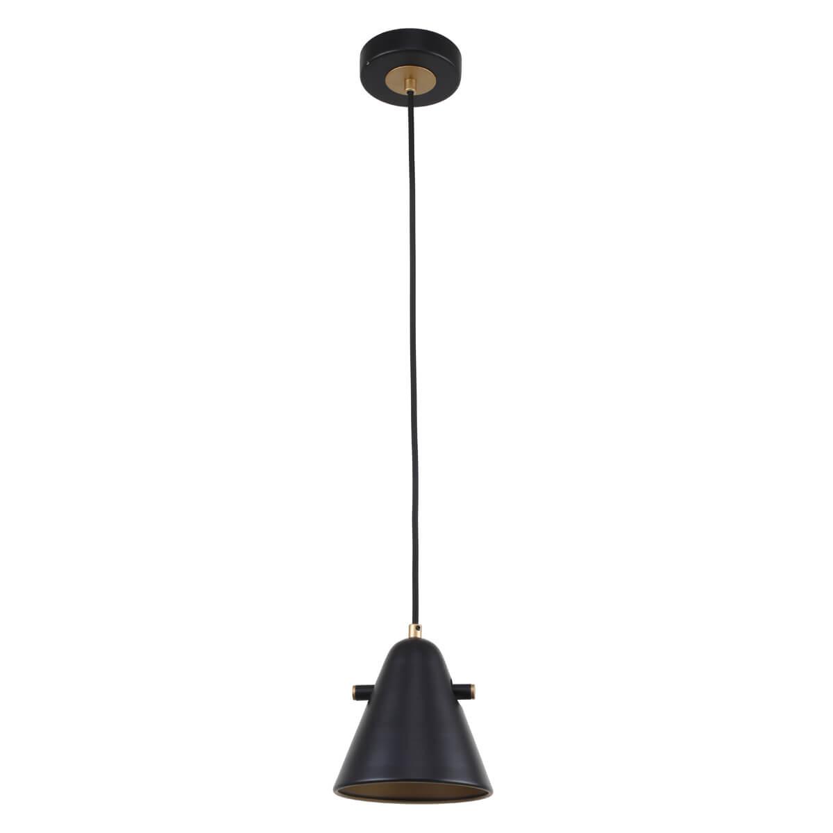 картинка Подвесной светильник F-Promo Rigor 2844-1P от магазина pro-decor.kz