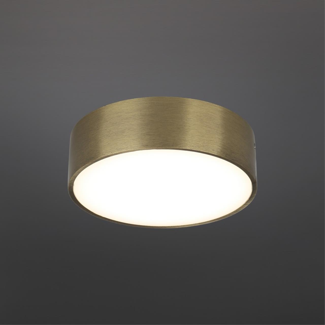 картинка Потолочный светодиодный светильник Aployt Evon APL.0114.29.12 от магазина pro-decor.kz