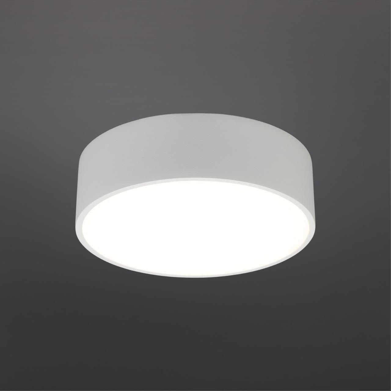 картинка Потолочный светодиодный светильник Aployt Evon APL.0114.09.12 от магазина pro-decor.kz