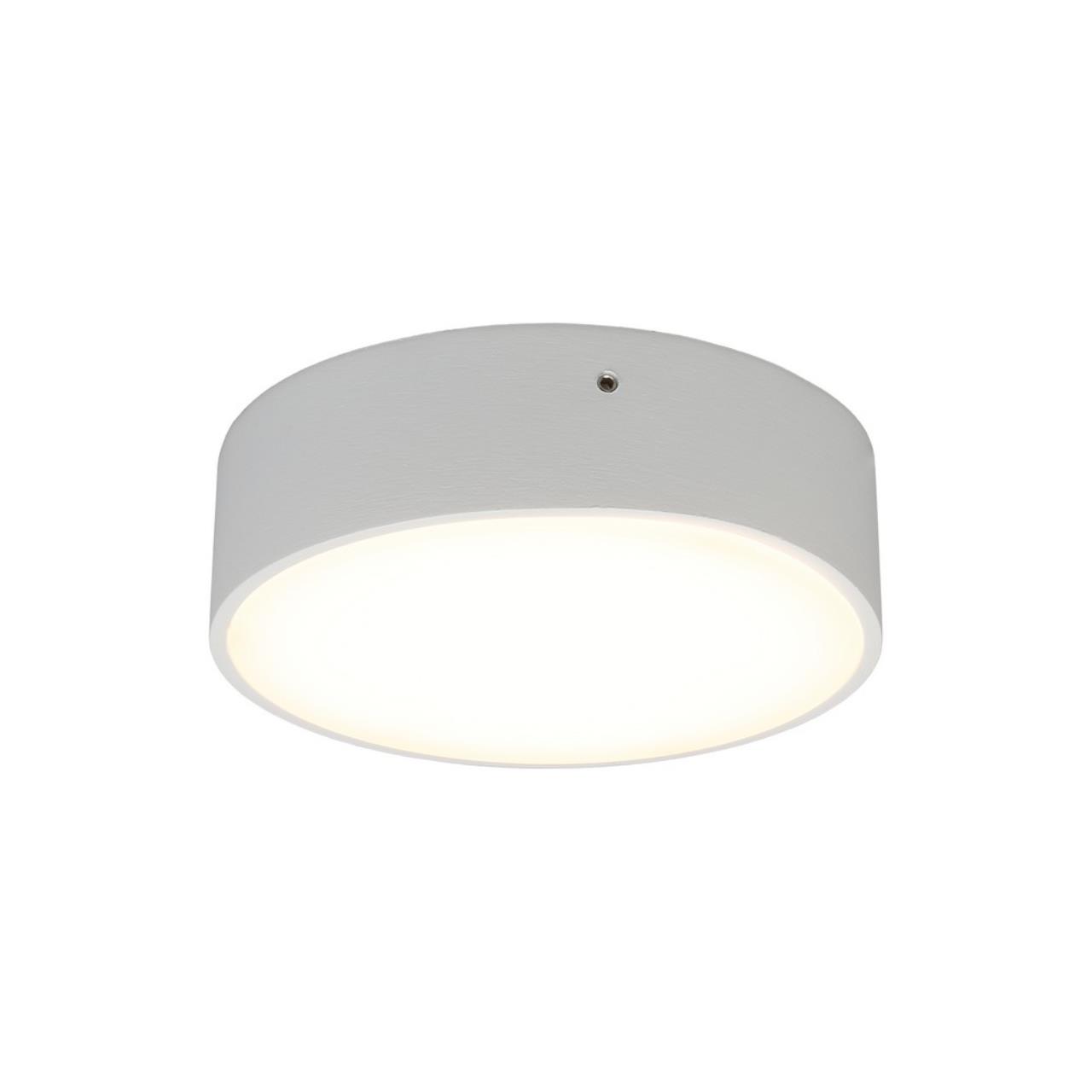 картинка Потолочный светодиодный светильник Aployt Evon APL.0113.09.12 от магазина pro-decor.kz