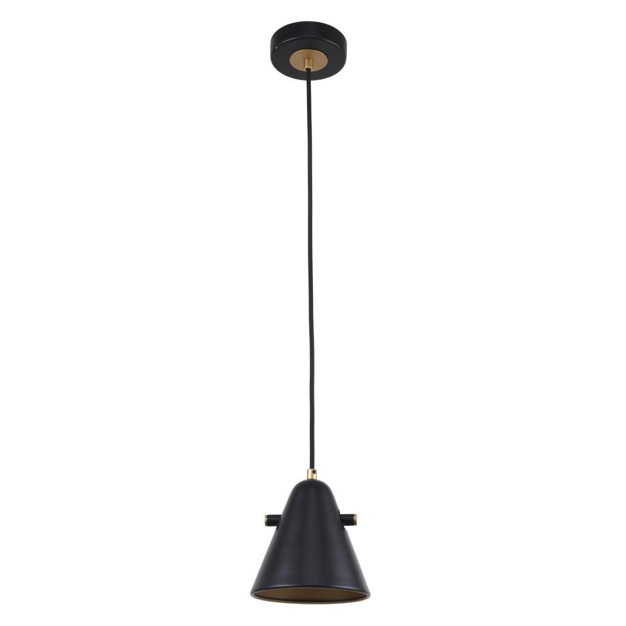 картинка Подвесной светильник F-Promo Rigor 2844-1P от магазина pro-decor.kz