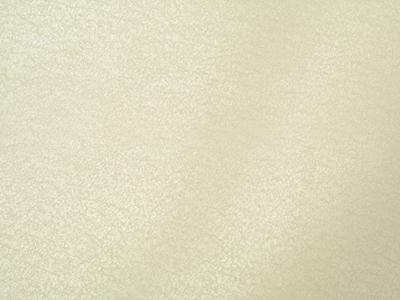 Декоративная краска ENCANTO CYGNUS SILVER16 OIKOS, Краска