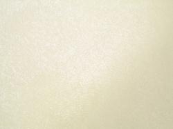 Декоративная краска ENCANTO CYGNUS SILVER17 OIKOS, Краска