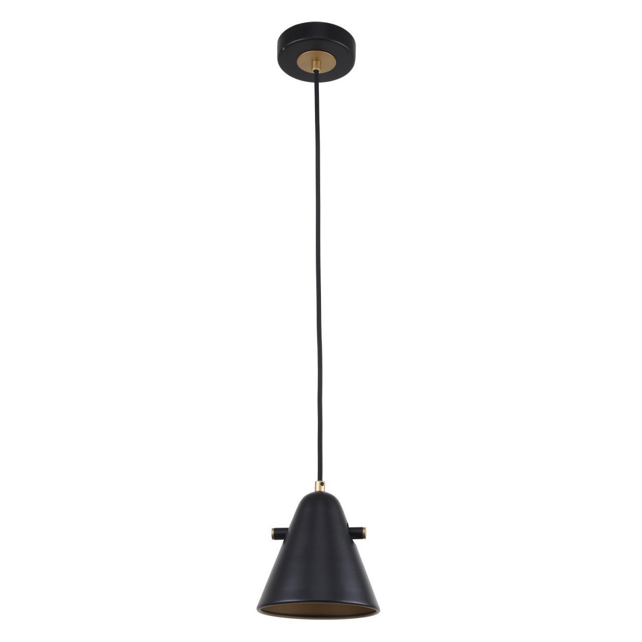 картинка Подвесной светильник F-Promo Rigor 2844-1P от магазина pro-decor.kz