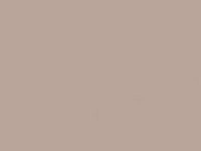 BIAMAX N1448 OIKOS, Декоративная краска