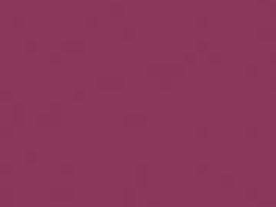 BIAMAX N1528 OIKOS, Декоративная краска