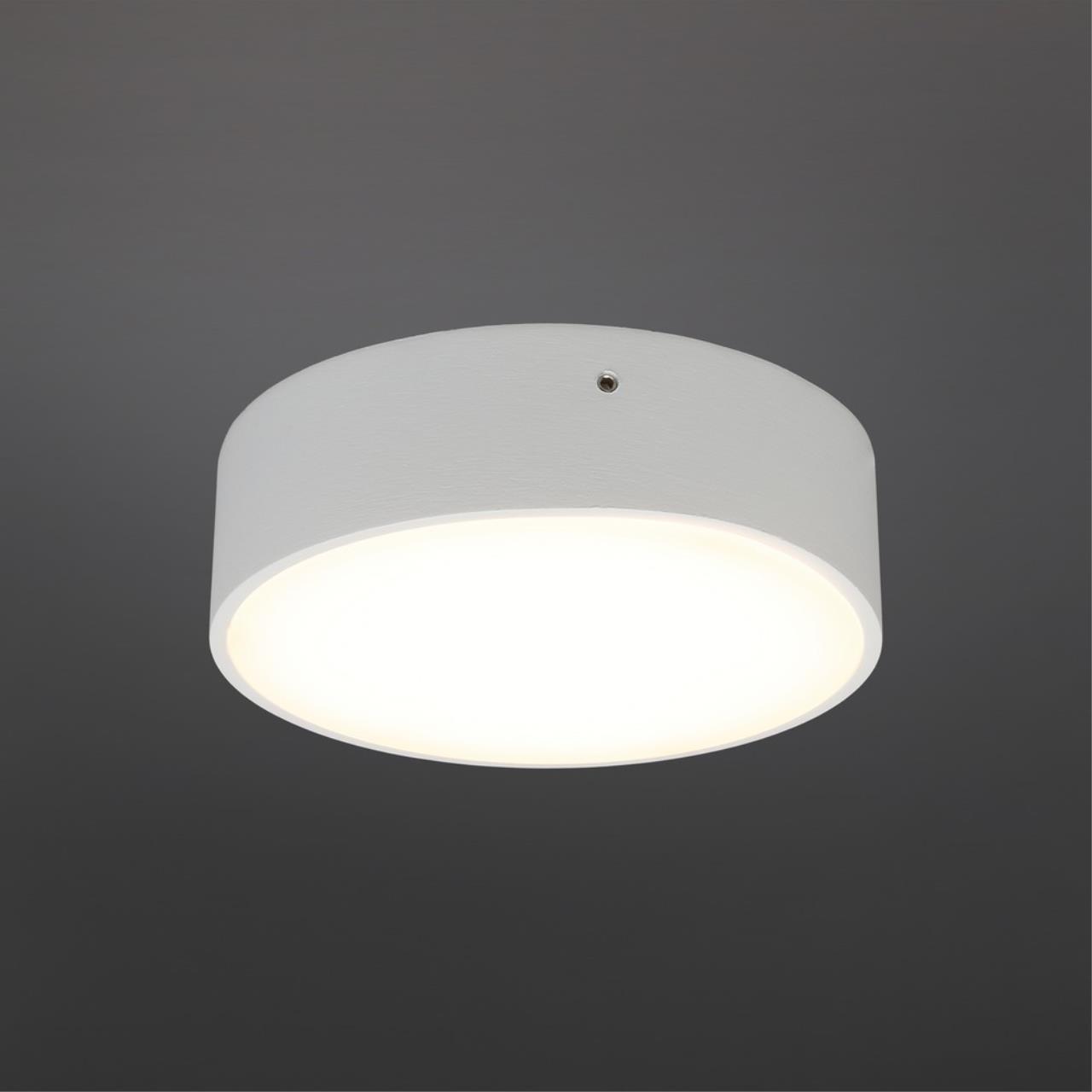 картинка Потолочный светодиодный светильник Aployt Evon APL.0113.09.12 от магазина pro-decor.kz